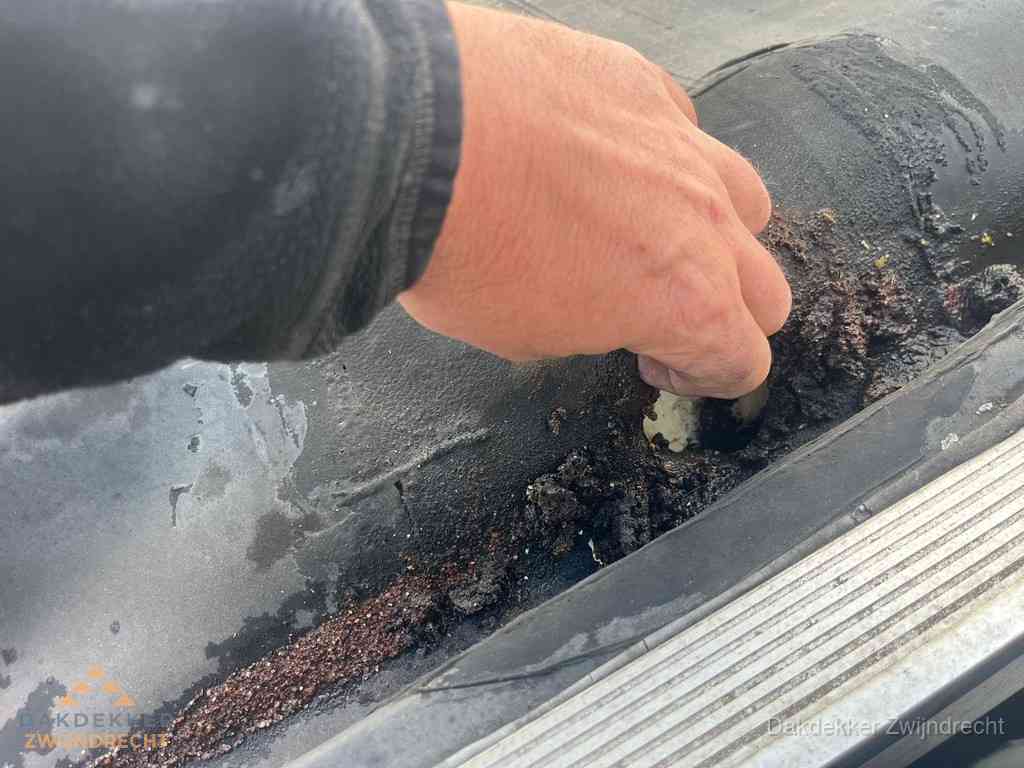 Plat Dak Reparatie Zwijndrecht Plat Dak Reparatie Zwijndrecht